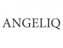 Angeliq