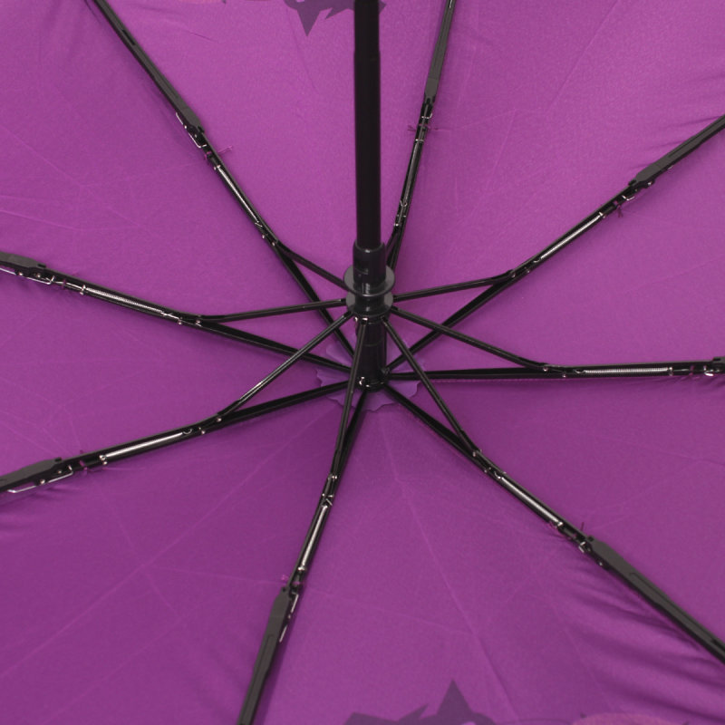 Зонт женский Flioraj, 160404 лиловый