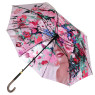 Зонт-трость FABRETTI Ds-2009-3