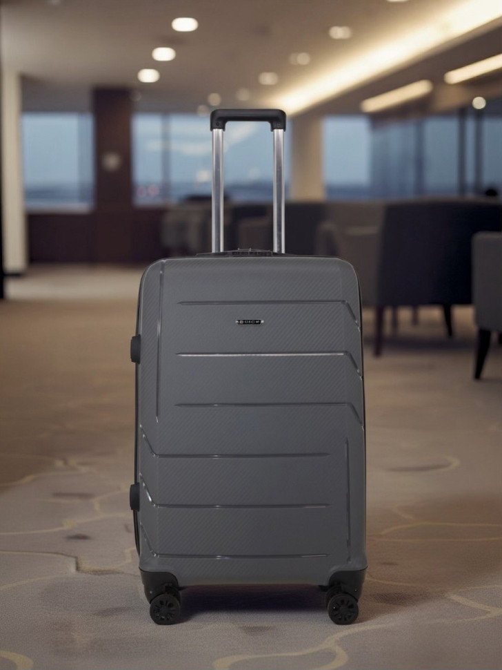 Чемодан RION+ 462  24"